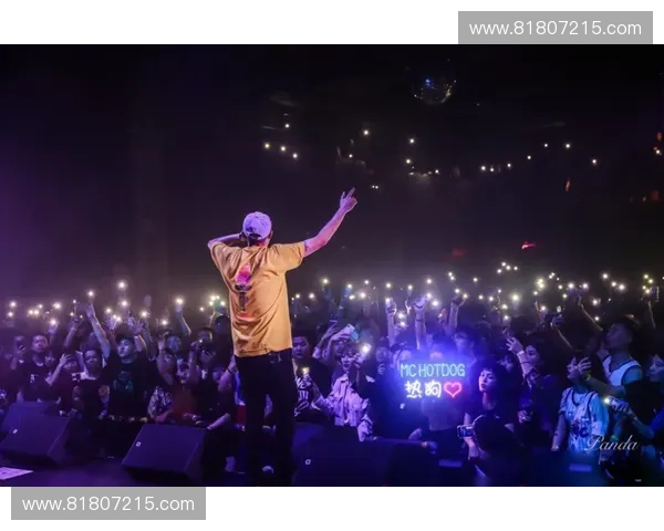 跟随LOL洞主的节奏探索燃炸歌单感受热血与信仰的音乐力量